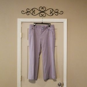 Ann Taylor pants